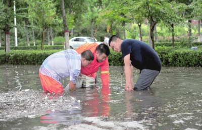 【豫见国际-图片（页面标题：文明是永不停歇的幸福接力）】【 移动端-焦点图】濮阳：文明是永不停歇的幸福接力