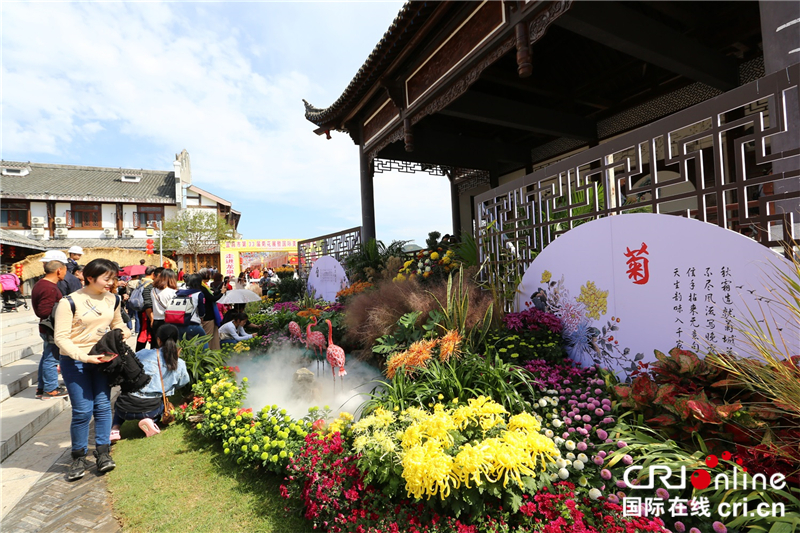 宜昌市第33届菊花展在龙泉铺古镇启幕