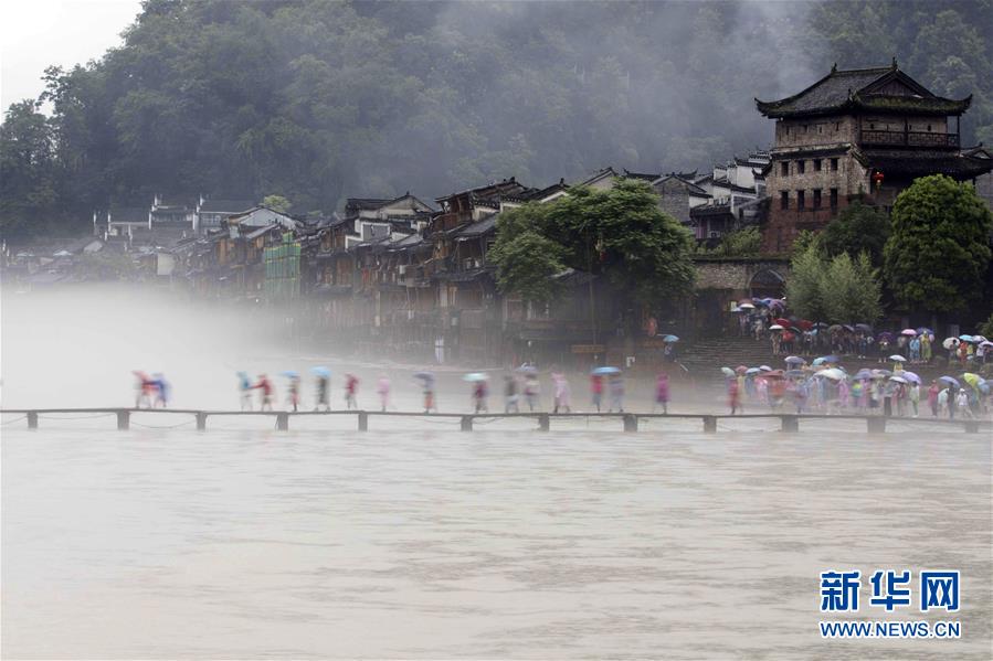 烟雨凤凰