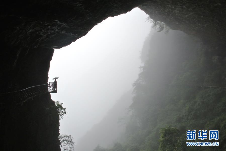 烟雨金佛山