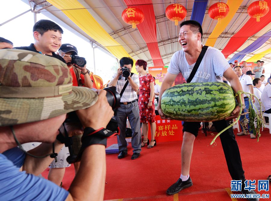 【轮播图】河南开封：“斗瓜”大赛精彩纷呈