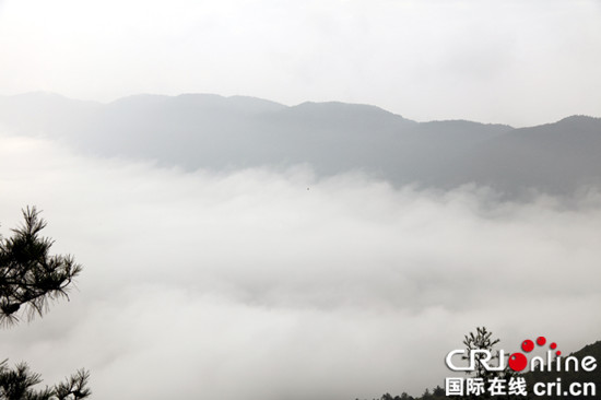 已过审【区县联动】【巫山】重庆巫山暴雨后望天坪惊现云雾奇观