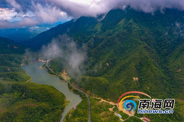 末尾有图【焦点图】【即时快讯】夏日鹦哥岭成为避暑圣地