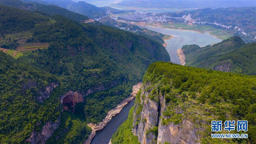 【渝情渝景】巫山绝壁画廊尽展南国绿意生机