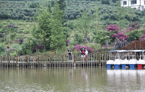 【共舞长江经济带】守住绿水青山 “干出来”的贵州生态