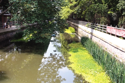 【区县新闻】普陀朝阳河治理出成效 高颜值获居民点赞