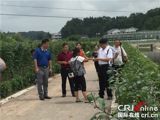 已过审【区县联动】【大足】大足区回龙镇组织代表考察学习