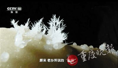 【行游巴渝 摘要】冰天雪地的奇幻世界 酉阳发现雪鬼迷窟