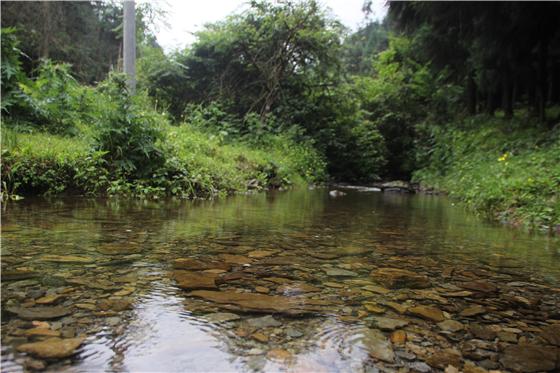 【区县联动】【丰都】丰都：探访南天湖镇无人区秘境 显影世外奇景【区县联动 列表】丰都：探访南天湖镇无人区秘境