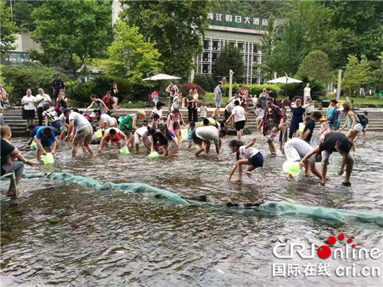 【行游巴渝 标题 摘要】重庆金佛山萤火虫露营音乐季盛大开幕