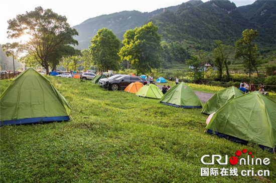 【行游巴渝 标题 摘要】重庆金佛山萤火虫露营音乐季盛大开幕