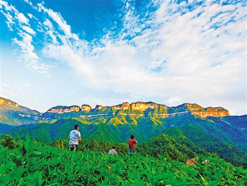 【行游巴渝 标题 摘要】避暑去哪儿？解锁“南川旅游”新玩法