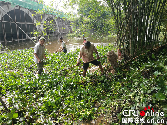 己过审【区县联动】【荣昌】荣昌龙集 40余名村民连续20日清除河面漂浮物