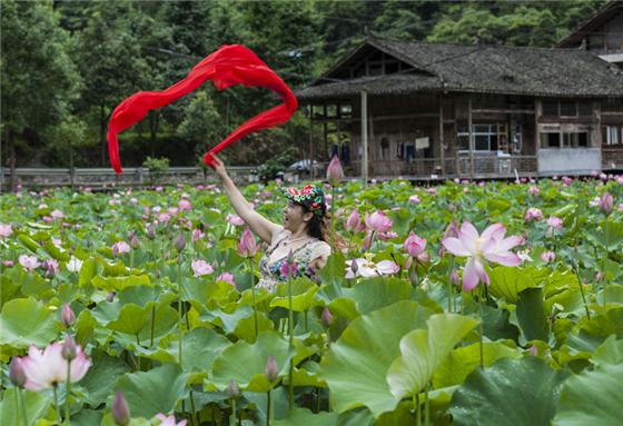 【区县联动】【黔江】黔江：生态荷塘引来“小精灵”