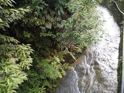 【能源环保】黔江杉岭乡干净的河道赢得群众点赞