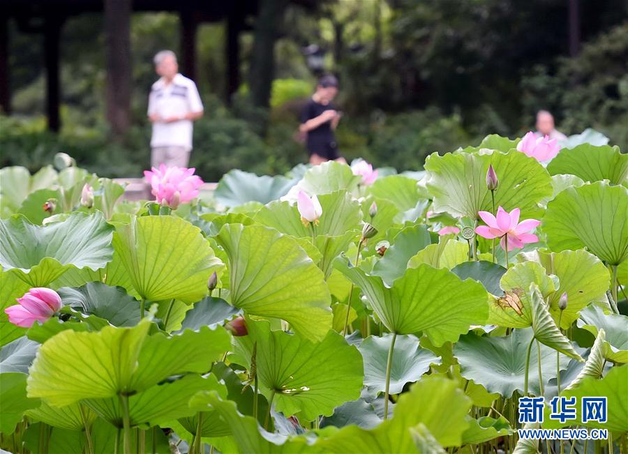 福州：看花观鸟两相宜