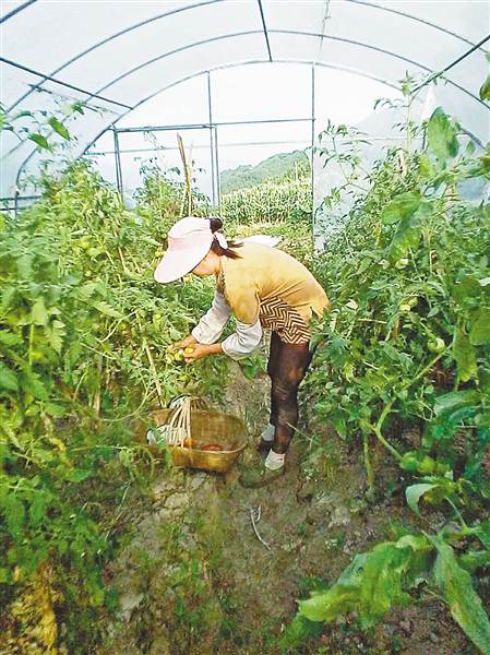 【区县联动】【云阳】聚焦脱贫 从勤劳开始 期盼新生活