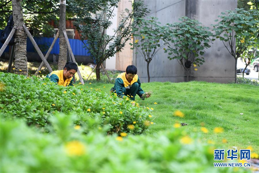 重庆江北：利用桥下空间 打造“桥下花园”