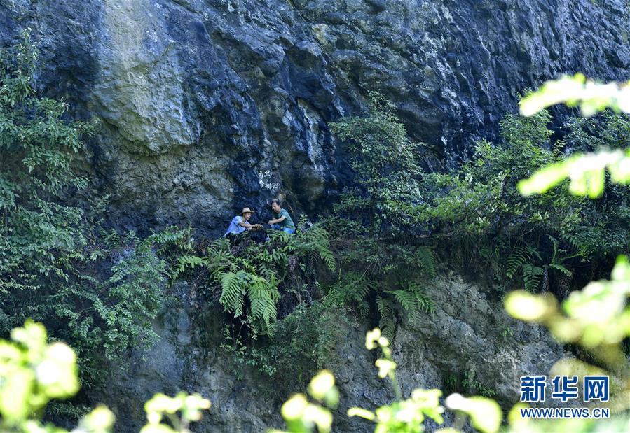 湖北恩施：绝壁引水的“深山天渠”