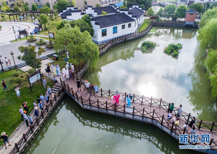 浙江桐乡：夏季乡村“文化纳凉”