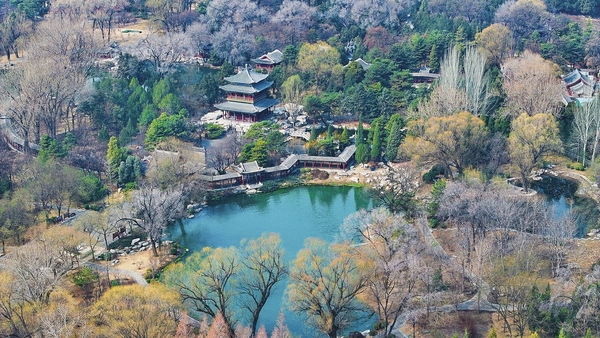 太原晋祠公园春意渐浓
