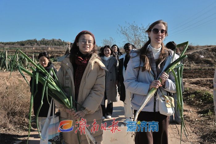 多国留学生走进章丘，实地体验大葱丰收与乡村振兴魅力