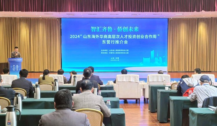 2024“山东海外华商高层次人才投资创业合作周”东营行推介会举行