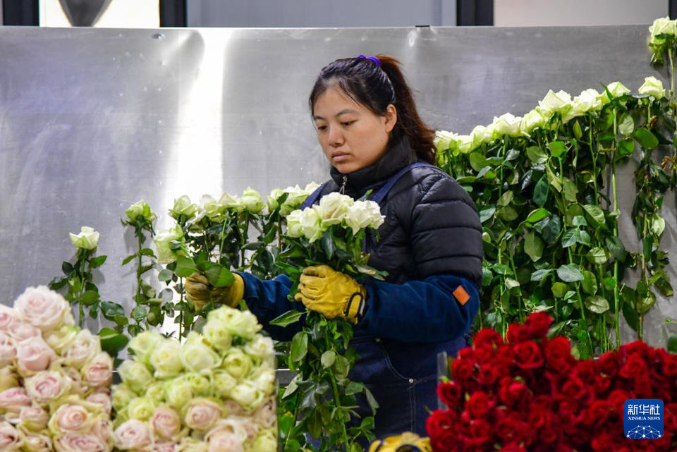 山东淄博：废弃矿坑变身“玫瑰花园”