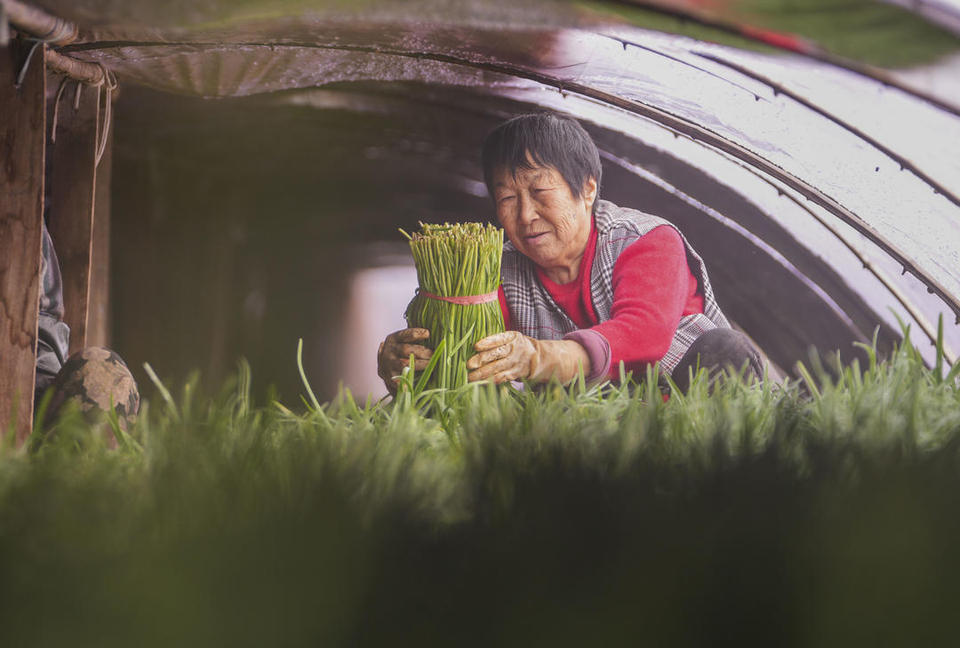 滨州邹平：年货市场足 快乐过大年