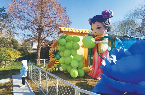 山东济南：花灯争艳引客来 “湖畔雨荷”火出圈