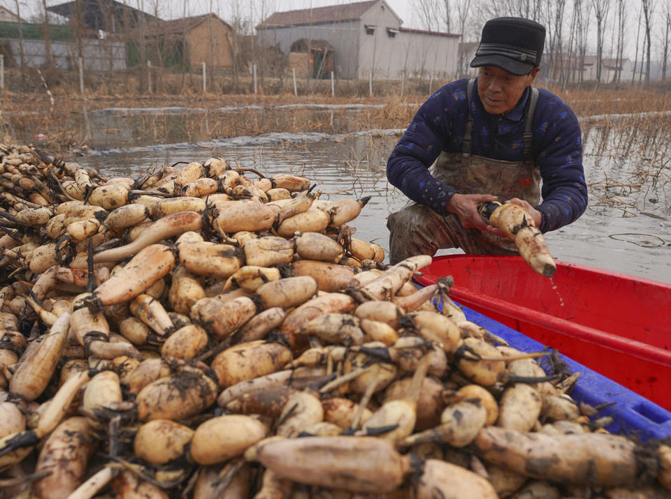 滨州邹平：年货市场足 快乐过大年