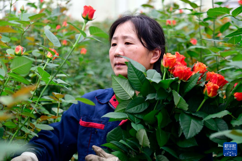 山东日照：发挥地名标识功能 助力乡村产业振兴