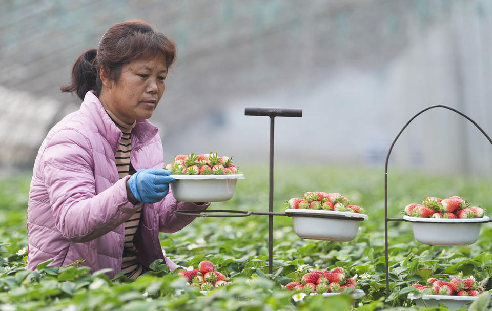 滨州邹平：年货市场足 快乐过大年