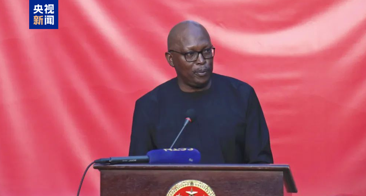 中国驻博茨瓦纳使馆举行新春招待会 总台春晚宣传片精彩亮相