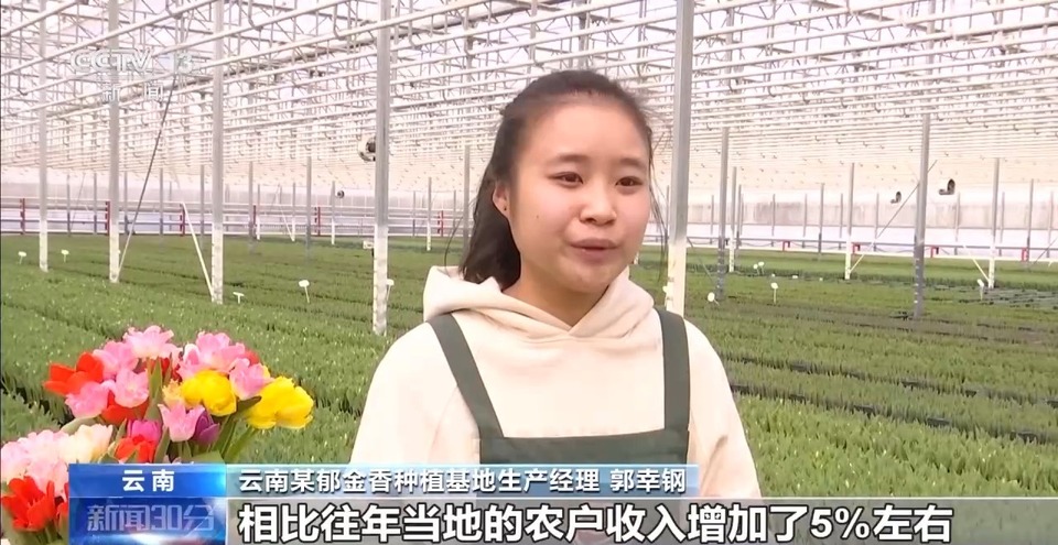 赶大集、岁末添金、买年宵花&hellip;&hellip;你的年货置办好了吗？