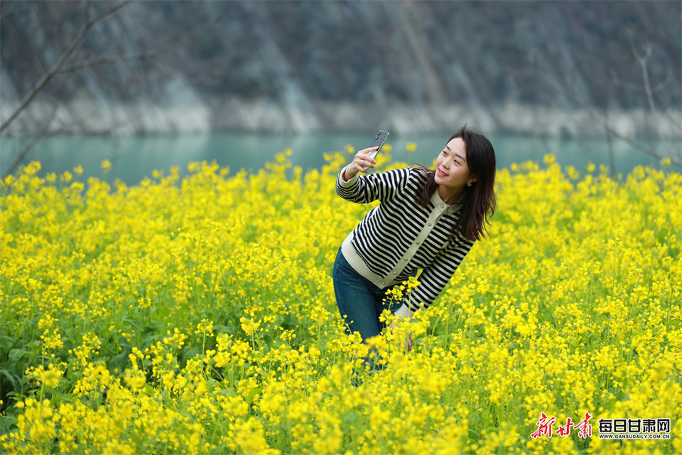 油菜花开引客来 陇南文县释放文旅新活力_fororder_1