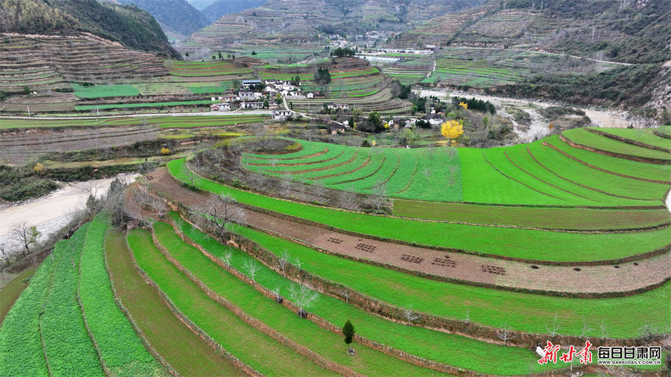 陇南康县迷坝冬日乡村风景独好