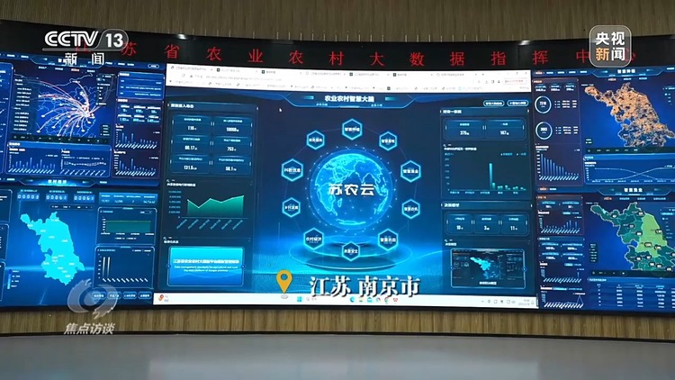焦点访谈丨如何扎实推进乡村全面振兴？深化改革是关键