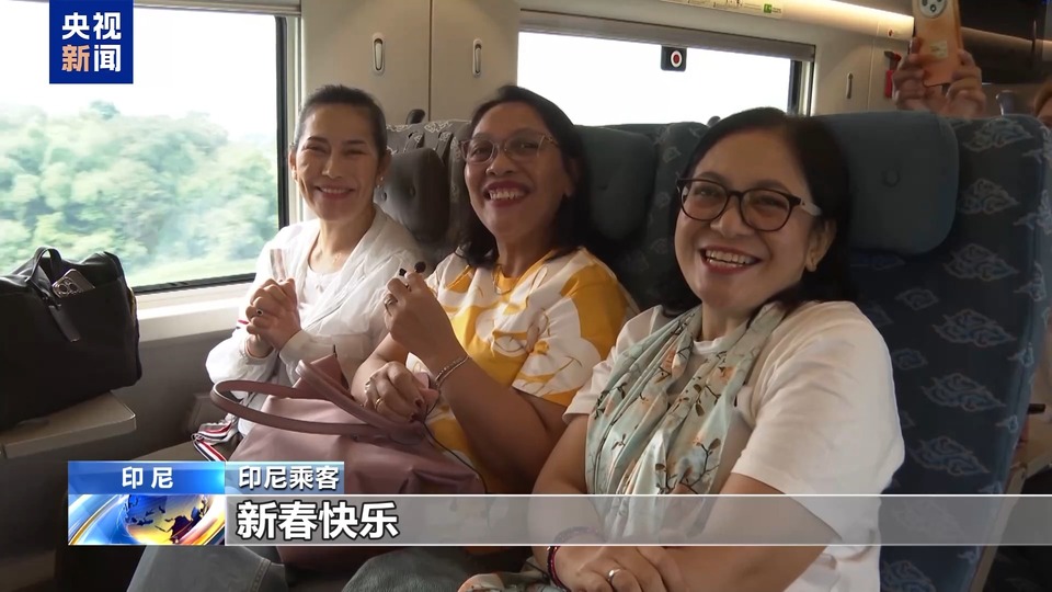 喜迎新春 我驻多国使馆举办春节招待会