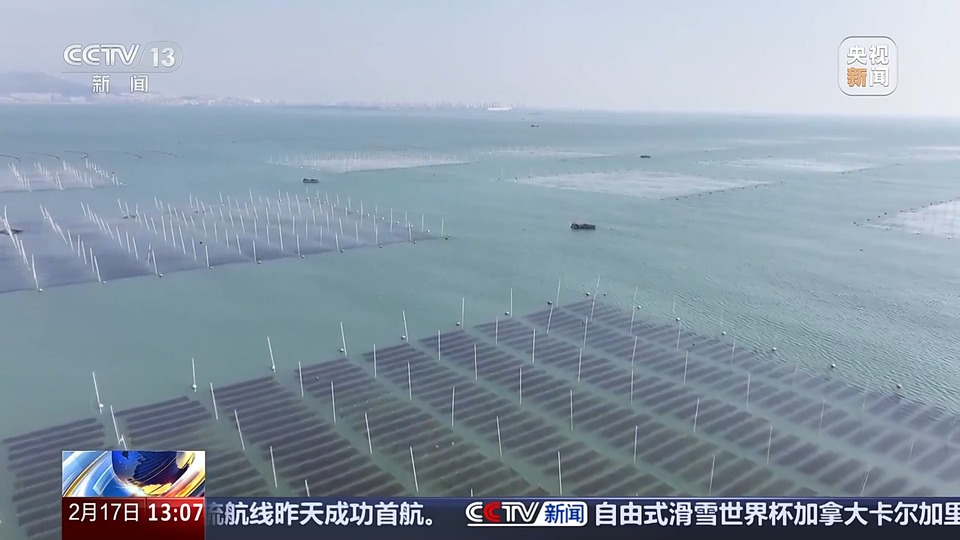 马力十足！春耕备耕忙 无人机&ldquo;上岗&rdquo;助力