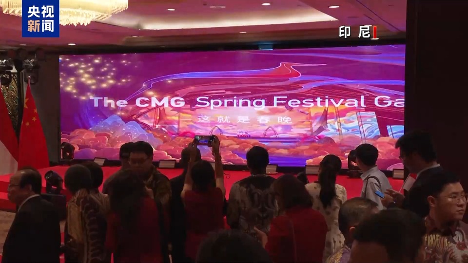 喜迎新春 我驻多国使馆举办春节招待会