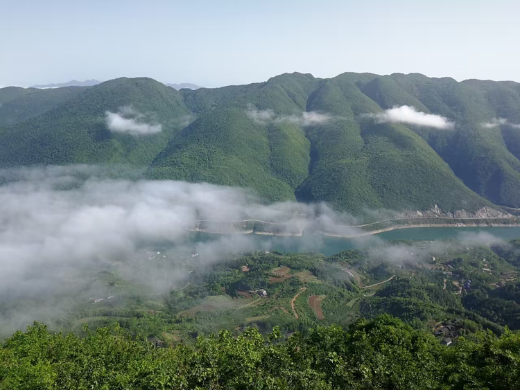 常德是个好地方｜山水之间 打造云雾茶香文旅新画卷