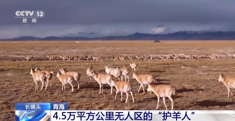 在4.5万平方公里的土地上 他们守护着&ldquo;高原精灵&rdquo;