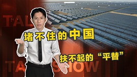 堵不住的中国，扶不起的“平替”