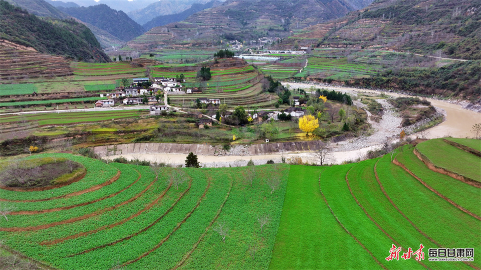 陇南康县迷坝冬日乡村风景独好