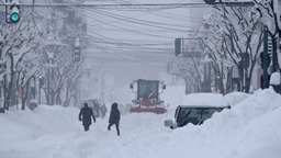 日本数十架次航班因强降雪和大风取消 数千人受影响_fororder_29