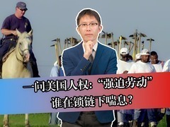 【DIG DEEP】一问美国人权：“强迫劳动” 谁在锁链下喘息？