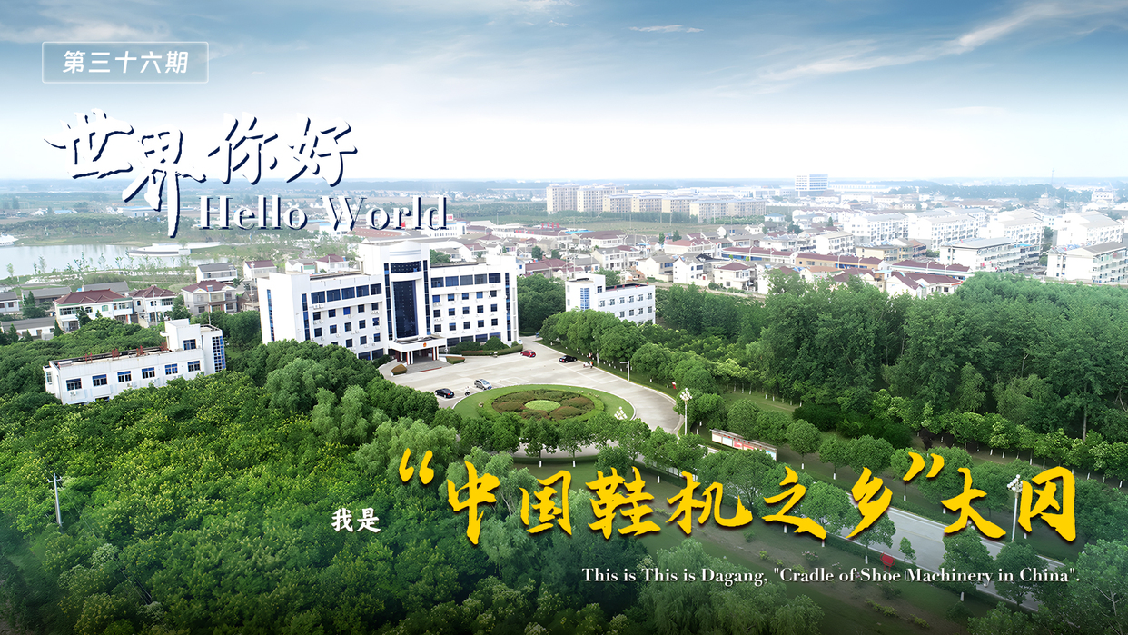 Hello World! Welcome to Dagang Town, the “Cradle of Shoe Machinery in China”_fororder_微信图片_20250228151050