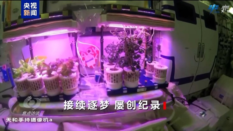 焦点访谈丨一次次交接棒 中国航天人接力奔赴飞天梦想