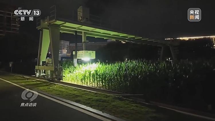 焦点访谈丨如何扎实推进乡村全面振兴？深化改革是关键